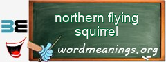 WordMeaning blackboard for northern flying squirrel